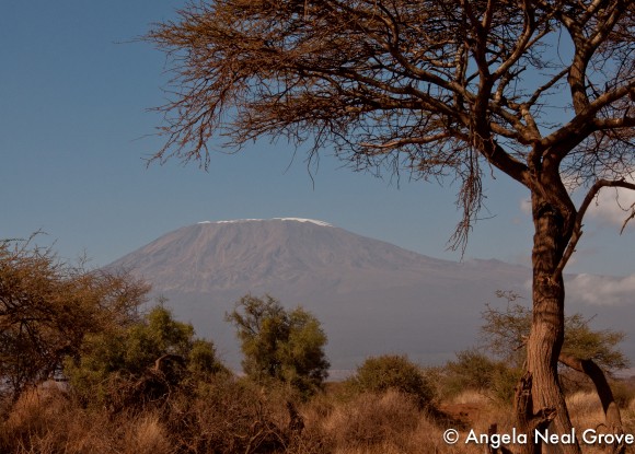 What does climate change look like?Once Mount Kilimanjaro had a snowy carapace. Hemingway wrote "The Snows of Kilimanjaro" which was then made into a movie.  Today there is barely any snow on the summit.//Photo: ANGROVE