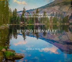 "Beyond The Valley" published by Angela Neal Grove