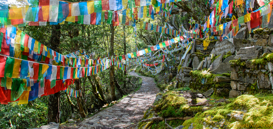 Pilgrimage Route at monastery in Tacheng, China