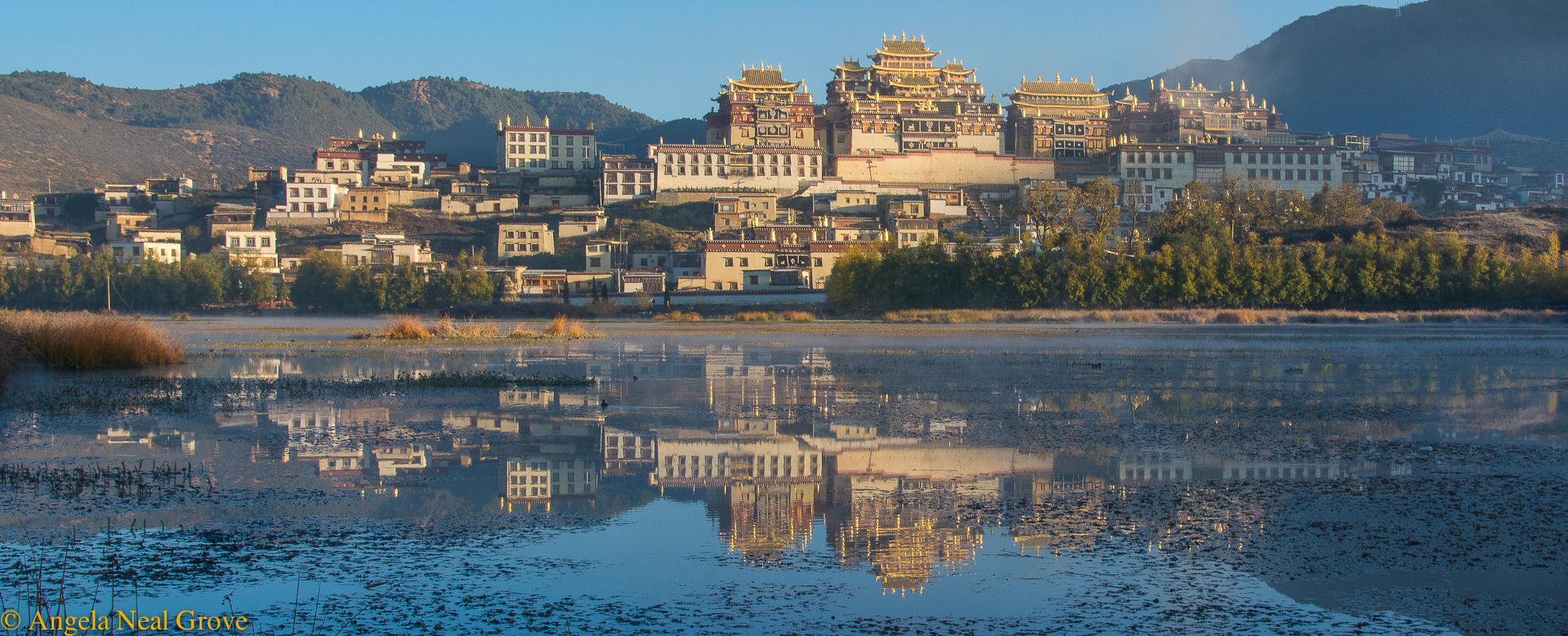 Shangri-La: Ganden Sumtseling Monastery, Shangri-la. Angela Neal Grove