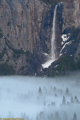 Bridalveil Falls in Yosemite Valley ©Angela Neal Grove