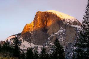 Image of Half Dome, Yosemite National Park in winter with a deep golden sunset glow on the top | Photo: Angela Neal Grove