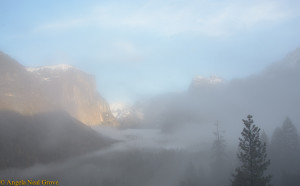 Yosemite Valley from Tunnel View Overlook