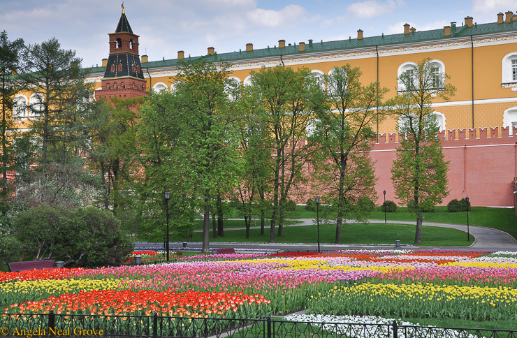 Sensational Tulip: Tulips planted in patterns outside the Kremlin, Moscow. Photo: A.N. Grove