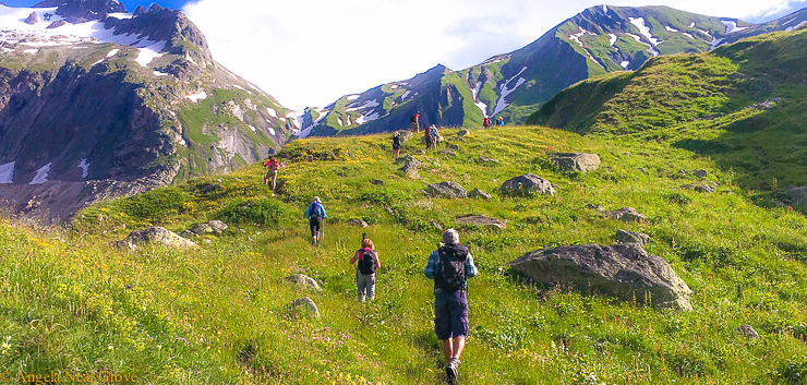 Mont Blanc Challenge: Hiking up to the snowlike in the French Alps through wild flowers