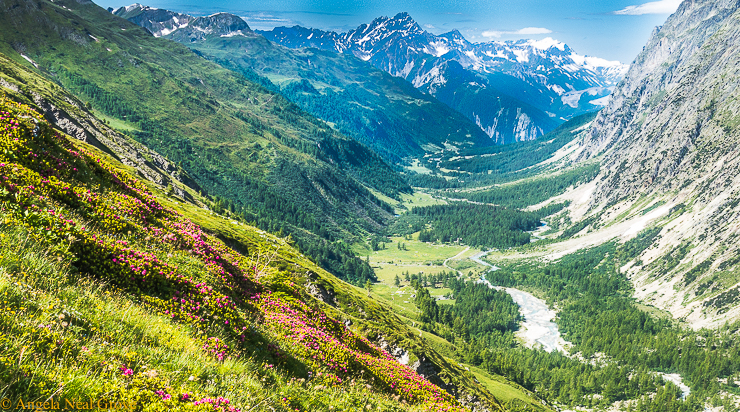 Mont Blanc Challenge: View looking back at the Italian Alps while climbing up the Col Le Ferret on the Swiss border