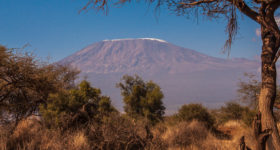 The Snows of Kilimanjaro | Photo: Angela Neal Grove