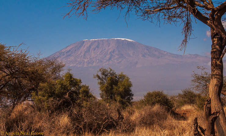 The Snows of Kilimanjaro | Photo: Angela Neal Grove