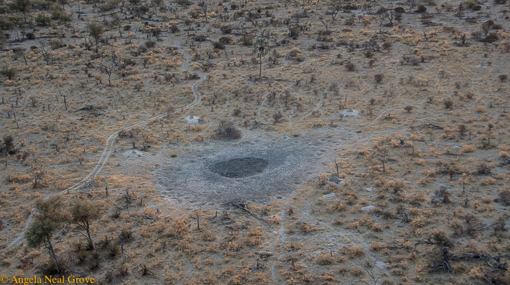 Planet in Peril: Climate Change Through My Lens; Image of a dried up waterhole in the Okovango Delta region of Botswana. Rainfall has been less, wildlife seek water elsewhere and tourism is down. //Photo: A.N.Grove