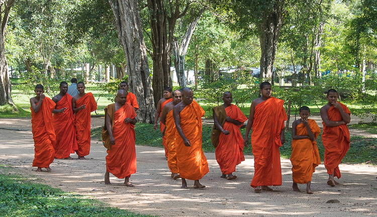 Sri Lanka: A Paradise Discovered. Monks strolling in Anuradhapura which is an ancient sacred city for Buddhists. //Image: A.N.Grove