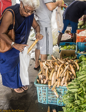 Traveling Spoon's Culinary Adventure: Mahara, a noted Sri Lanka chef, selects lotus root at the market to lose for a curry//Photo: A.N.Grove