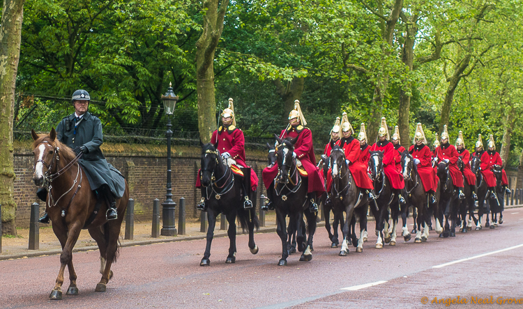 London jUpdate News and Views, some of the Queens horses and guards walk towards Buckingham Palace