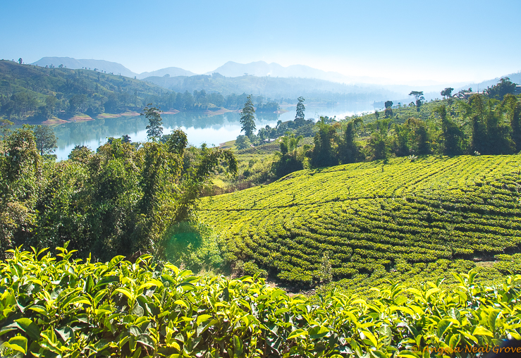 Climbing Adams Peak in Sri Lanka