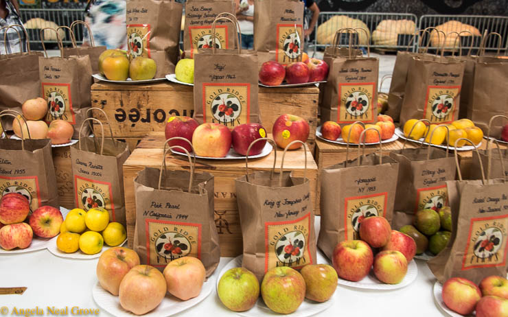 Heirloom seeds Expo has Global Message: There was an opportunity to taste heirloom varieties of apples. The average American supermarket only sells only five varieties of apples.