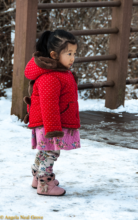 Korea's DMZ Through My Lens: This little girl stood and watched intently as care packages, destined for North Korean relatives, were loaded at the border. Will she see re-unification in her lifetime?