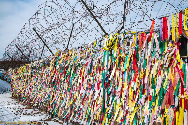 Korea's DMZ Through My Lens: Double chain-link fence topped with razor wire coils at the border. On it are pinned thousands of wishes and messages for peace and reunification placed by South Korean citizens, some of whom have family beyond the border.