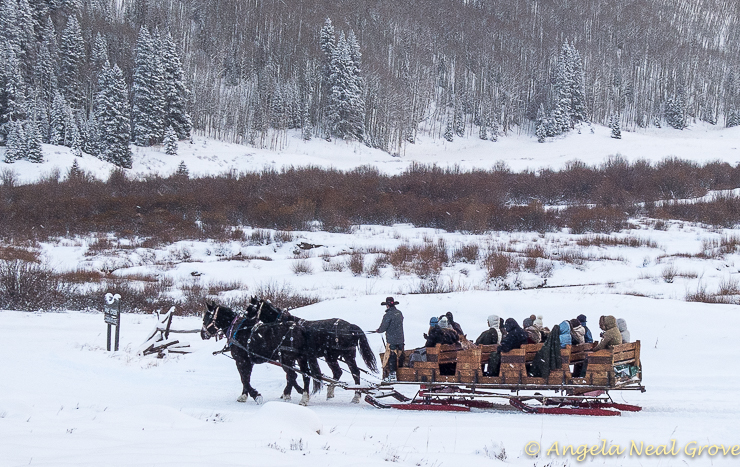 Aspen Horse drawn sleigh