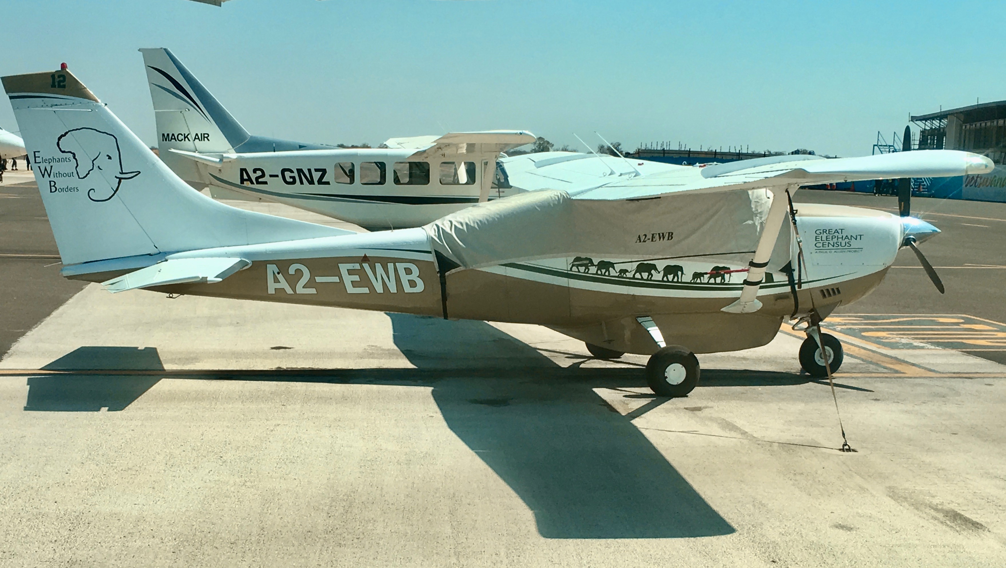 Botswana's Devastating Elephant Slaughter: Great Elephant Census plane using for counting elephants at Kasane airport, Botswana./Photo: A.N.Grove