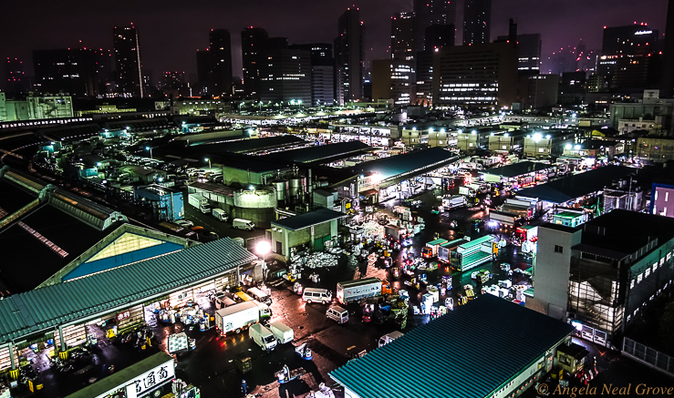 Tokyo Tsukiji Fish Market Going Going Gone...Scene from the roof of the Tsijiki Fish Market at 3:00 am. This was the last day of the market in this location. It is moving to Toyosu. //Image A.N.Grove