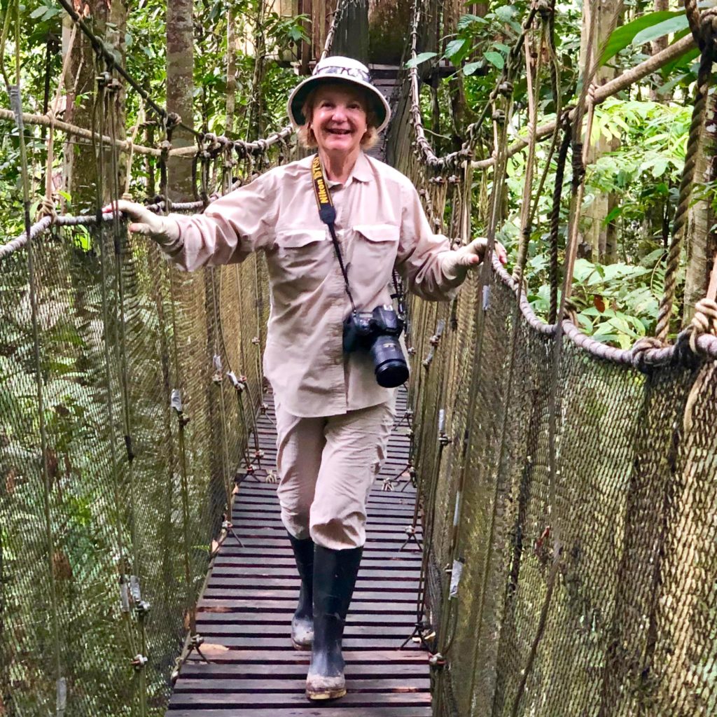 Amazon River Headwaters Adventure:
Exploring the jungle from the tops of the trees by narrow hanging bridges.
Photo: ANGROVE