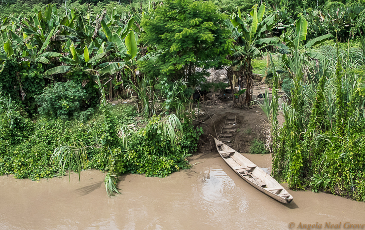 Amazon River Life: Riberenos cultivate revenue-producing crops such as bananas along the river in Peru. PHOTO; ANGROVE