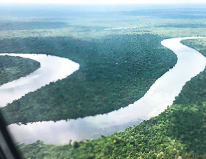 Amazon River Life: From the air: The Amazon River winds through the jungle. PHOTO: ANGROVE