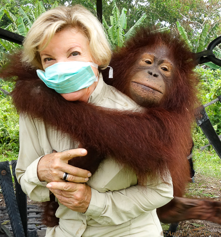 Borneo orangutan sanctuary. This small organutan clung to me and would not let go. It is an orphan, the parents were killed to make room for palm oil plantations. I wished I could have brought the baby home. Hopefully he will be released into the wild and live a long and happy life. The mask I am wearing is to protect babies from human germs.