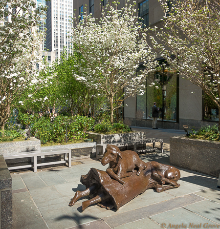 Manhattan Walking New Highlights: Kiki Smith sculpture, Rest Upon. This life-sized Bronze of a lamb on top of a sleeping woman is presented by Pace Gallery It is on the walkways between two channel gardens walking down to the ice rink.  Shadows of bird sculpture are traced on the ground, and dogwoods bring a touch of spring. This is part of a public Arts Initiative. PHOTO: AN GROVE