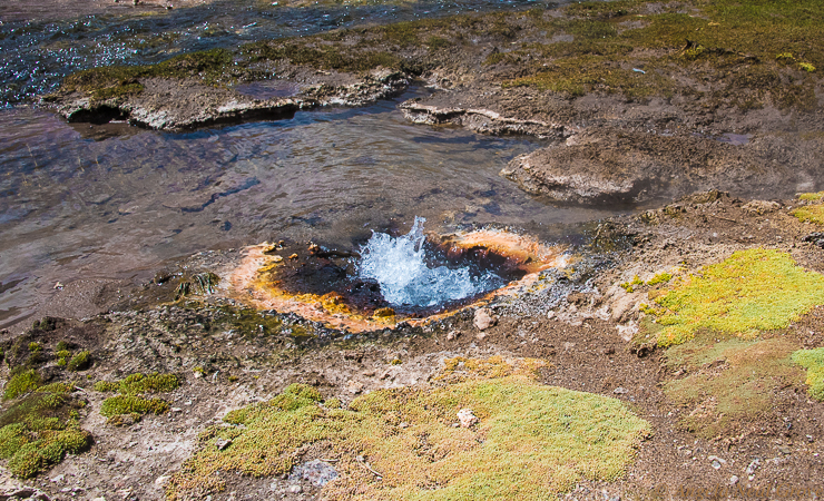 Other Worldly Atacama Desert.Boiling water bubbling up from the underground at El Tatio Geyser Field.
PHOTO: ANGROVE