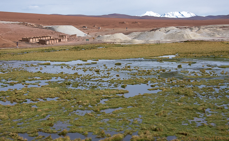 Otherworldly Atacama Desert. Deserted Saltpetre mining camp in the Atacama Desert. PHOTO; ANGROVE