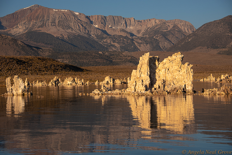 For the Beauty of the earth: Mono Lake is known for Tufas. These limestone formations are caused by volanic activity in the ground under the lake.  Here are tufas and reflections in the early morning.  It was 22 degrees.  Brrr.  Photo: ANGrove