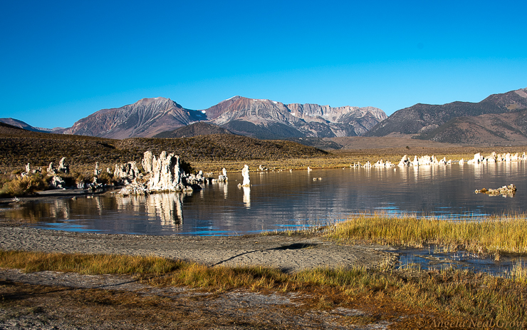 For the Beauty of the Earth. Tuffas relected in the early morning water of Mono Lake, California.