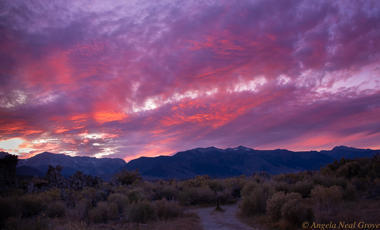 For the Beaut of the Earth: Autumn Sunset at Mono Lake, California.  No added color to this photograph.  The sky was a vibrant crimson and magenta. I stood in awe, just looking at the colors evolve.