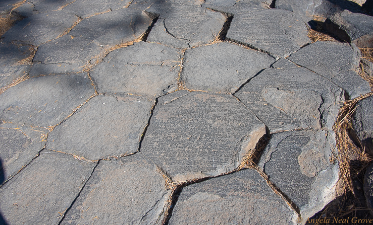 For the Beauty of the Earth: The top of the volcanic basalt columns at Devils Postpile National Park, California.  They are perfect polygons. Photo: ANGrove