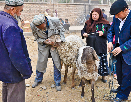 Decade Highlights of Global Travel Adventures: 2010: The Animal Fair at Kashgar. A woman tries to sell two sheep. This Animal market which sells every kind livestock from Bactrian Camels to donkeys, cattle, goats and horses is one of the most renowned animal markets in Central Asia. It is an important part of Uyghur and nomadic culture.  I do not know if the fair is still allowed to function