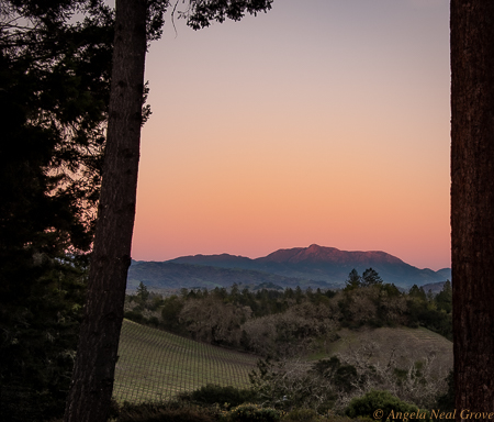  California Spring The weather has been mild and dry in California.  We are all hoping for rain.  The upside is that there have been some warm and spectacular days.  This image of sunset over Mount St. Helena was taken early February in Healdsburg.PHOTO ANGROVE