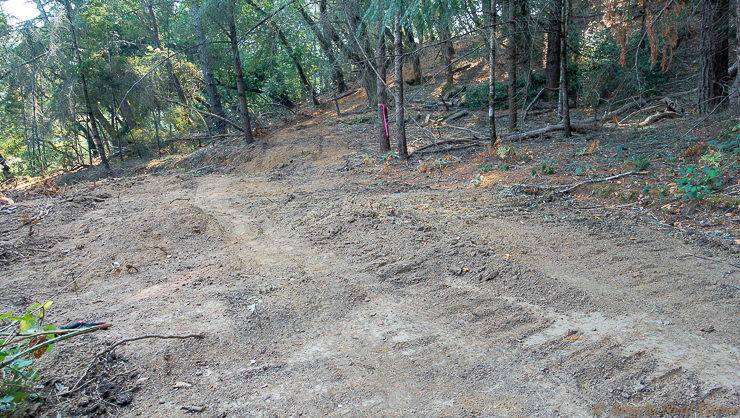 CalFire bulldozed firebreaks through forests to contain fires. This firebreak was created to save a home in Sonoma. //PHOTO: ANGROVE