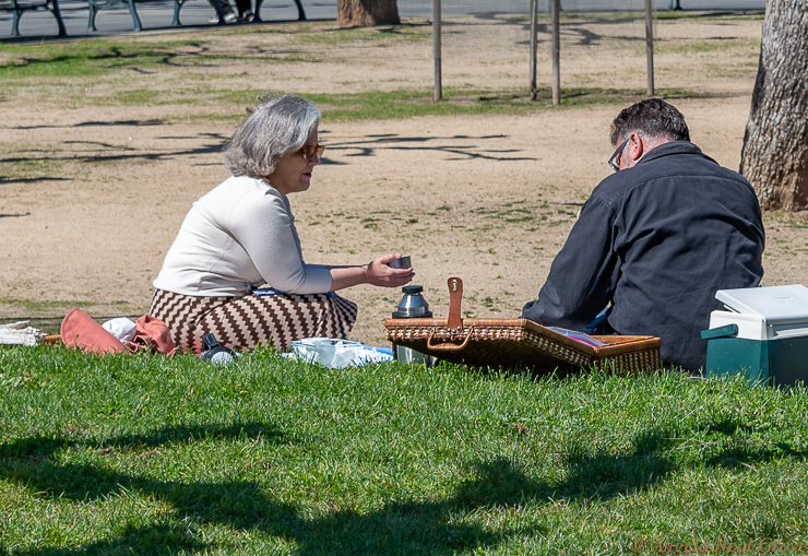 With restaurants closed picnicking became the way to go in San Francisco. PHOTO;//ANGROVE