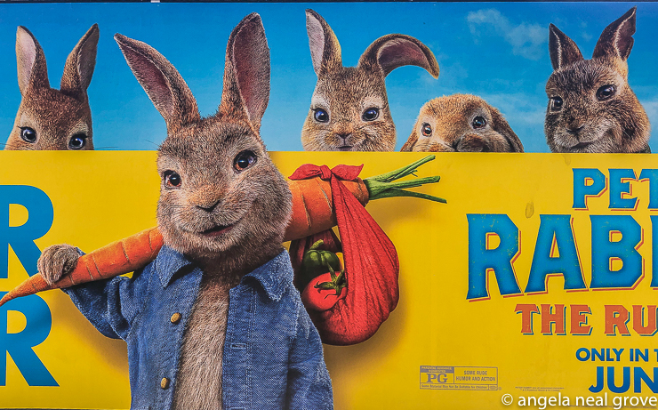 Peter Rabbit has taken to the big screen and can be seen up to mischief in Peter Rabbit 2.  The movie is now in theaters  with Flopsy, Mopsy and Cottontail also enchanting movie goers.
 // PHOTO: ANGROVE