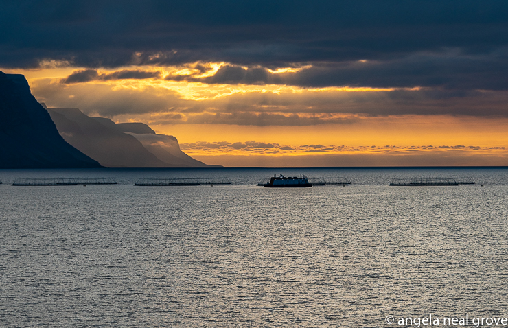 
Sunset from the stern of the ship.  In the foreground are fish farms. Sunset was around 11:30 each night and sunrise a little after 3:00 am.  They sky never become completely dark.  We were told Aurora Borealis is always there, it just cannot be seen in summer because of the ambient light.  Iceland is a land of contrasts. //: PHOTO: A.N GROVE