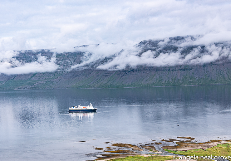 
I circumnavigated Iceland in the National Geographic Explorer, operated by Lindblad. The ship is an icebreaker which heads to Antarctica in the winter. From the ship we were able to visit many remote fjords and islands which would have been inaccessible by road. From the ship we clambered into zodiacs to take us to shore or along dramatic cliffs.  Knee high rubber boots were useful for these wet landings on the shore.  Iceland is a land of contrasts. //: PHOTO: A.N GROVE