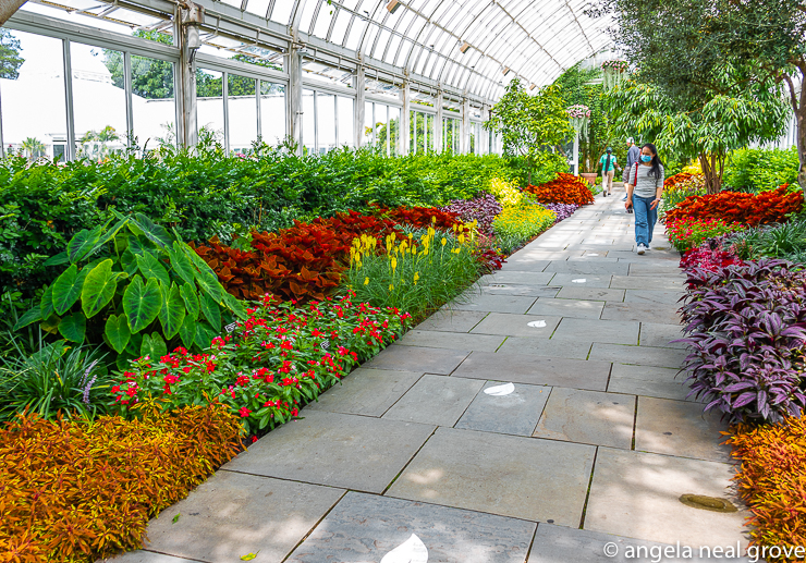 Enchanting Pumpkins: Plantings in the walkway of the conservatory change with the seasons. The colors of the plantings are inspired by Kusama's Alone, Buried in a Flower Garden 2014
  PHOTO: ANGROVE