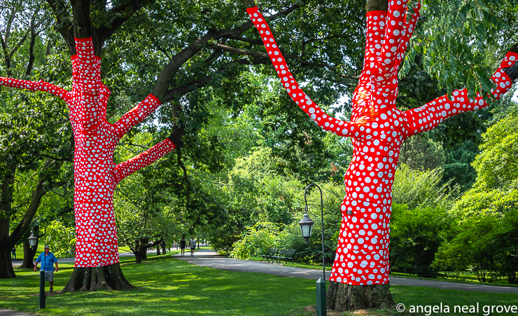 Enchanting Pumpkins: Trees wrapped in printed polyester fabric line pathways in the Botanical Garden. This installation art titled, Ascension of Polka Dots on the Trees belongs to the artist. It brings a feeling of another world , the trees almost seem to dance. PHOTO; ANGROVE