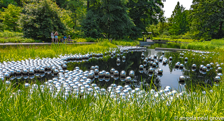 Narcissus Garden, 1966/2021 Installation. 1,400 stainless steel spheres bob and float on the waters of the wetland in the Native Plant Garden. They continually move and the reflections change and deepen which is mesmerizing PHOTO: ANGROVE