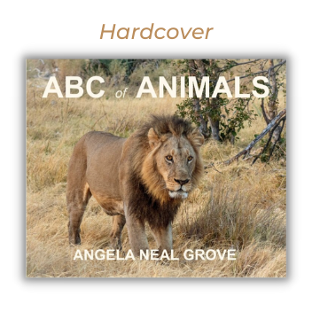 ABC of ANIMALS: Seen Around the World Children's Book written and photographed by Angela Neal Grove (hardcover)