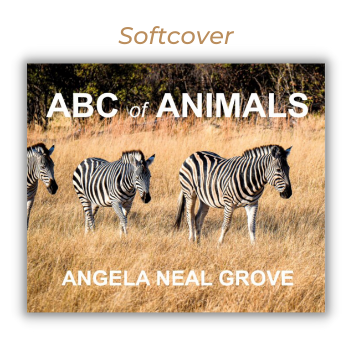 ABC of ANIMALS: Seen Around the World Children's Book written and photographed by Angela Neal Grove (softcover)