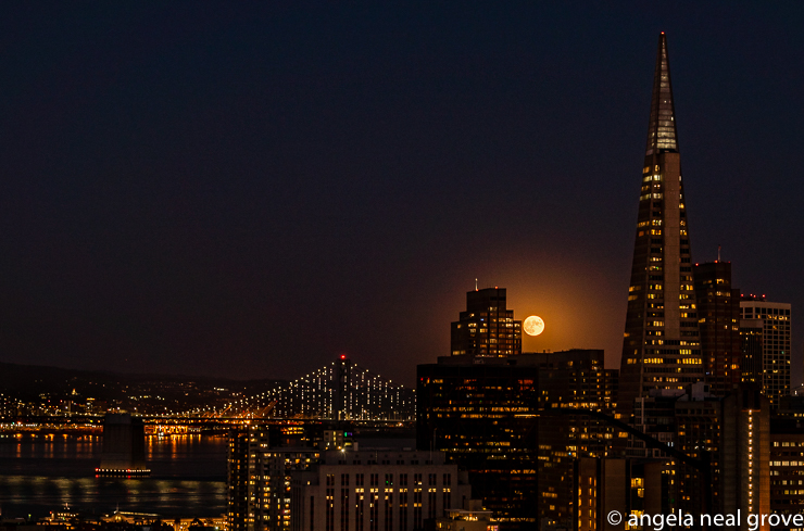 Moonrise over dowtown San Francisco photographed from Russian Hill. To the right is the Pyramid building and to the left the lights of the Bay Bridge. PHOTO;//ANGROVE