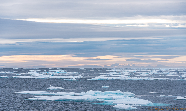 Northwest Passage Arctic Adventure:  Sea Ice East of Resolute on Devon Island. In August there is little sea ice, but by the end of September the water begins to freeze and piles of sea ice are often blown together.  We had a sea ice expert from Finland on board our yacht who advised the captain on conditions.  //PHOTO  ANGROVE