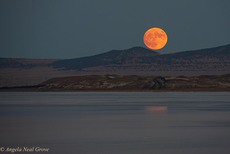 The full moon rising over Mono Lake in the Eastern Sierra, California. Reflections of the moon shine in the water.   Photo: ©ANGROVE