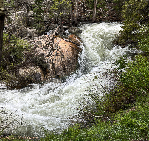 Snowmelt  water gushing down the mountainside along the Sonora Pass in early June.  In places water flooded the road.   Photo: ©ANGROVE